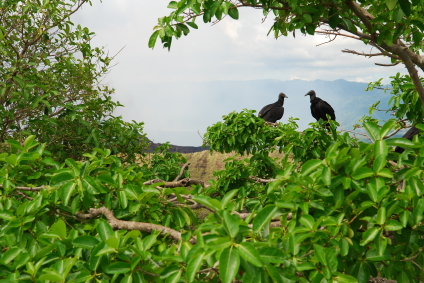 Rocking chairs, poetry, and business opportunities in Central America's most misunderstood country