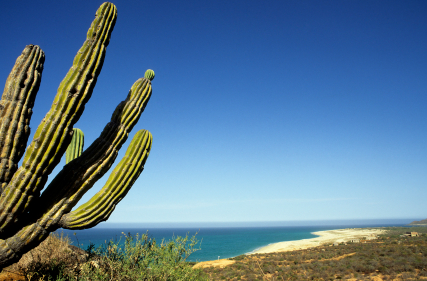 Undiscovered Mexico—where you can still buy a two-bedroom, beachfront home for $129,000