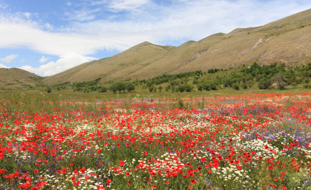 Seaside living for less than $117,000: Abruzzo and Molise, Italy’s affordable Adriatic