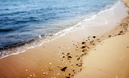 Back in Time: Turn-of-the-Century Malibu on the Ecuador Coast