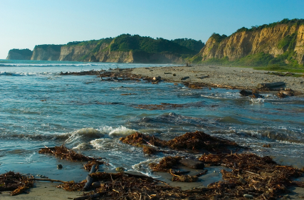 The big news that will change the market of Ecuador’s north coast