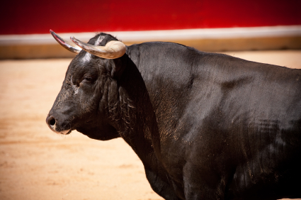 Spain’s Liturgy of the Bulls—Glory, Passion, Bravery, and Tragedy