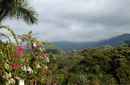 A Year on the Road to Discover “Home” in Mexico