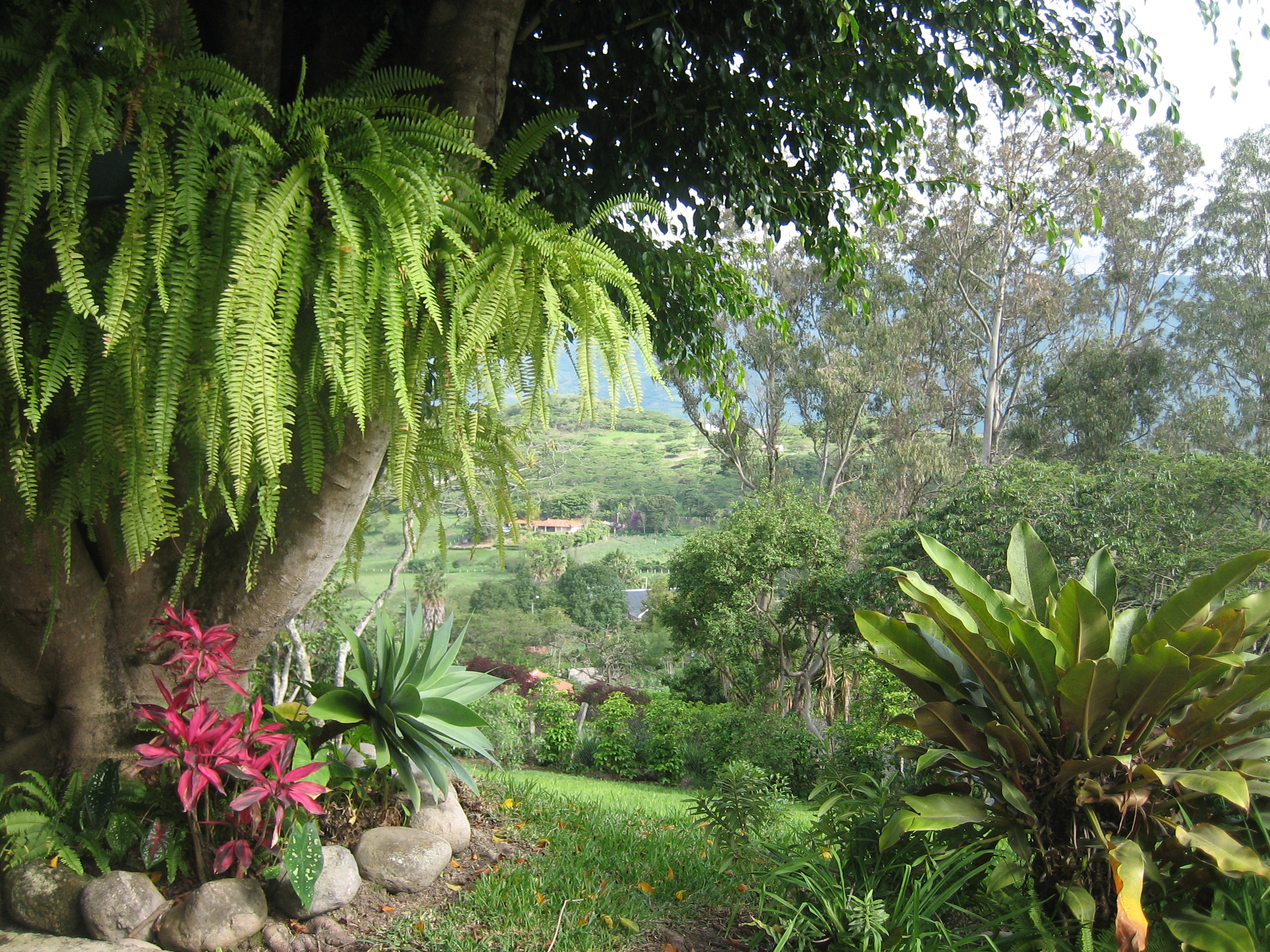 Find Your Own Green Acres in Ecuador’s Yunguilla Valley