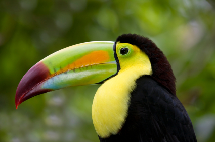 Taxi Driver Retires to Costa Rica on $965 a Month