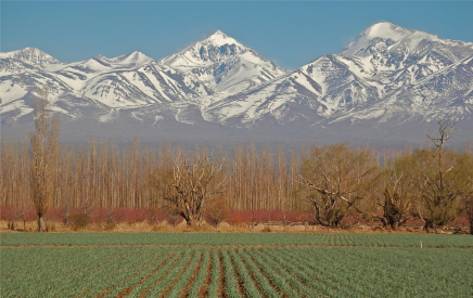 “We knew nothing about farms, and couldn’t speak Spanish…so we bought a vineyard in Argentina.”