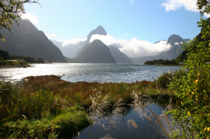 New Zealand Adventures