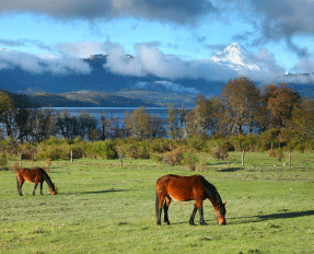 The Easy Way to Make Money from Land