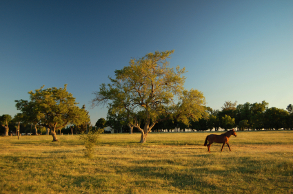 Buy Farmland and Grow Rich