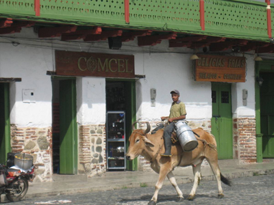 Discover Three “Demure Beauties” in Unknown Colombia