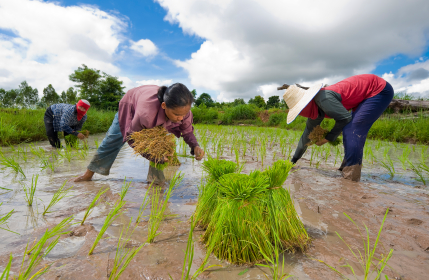 isaan thailand, an undiscovered thailand