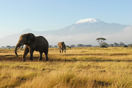 Adventure On The Roof Of Africa