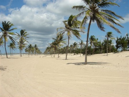 A Small Brazilian Beach Town With Big Views