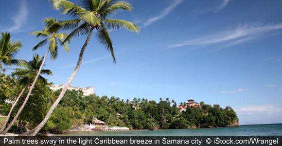 One Expat’s Success Story In Samaná, Dominican Republic