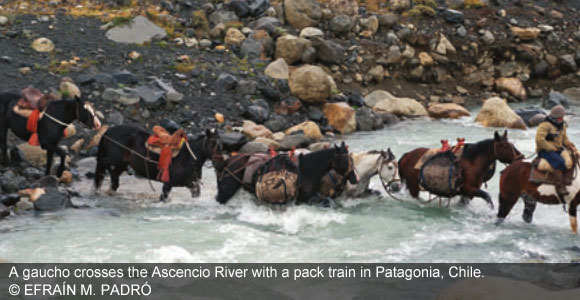 Window On The World: The Gauchos Of Torres Del Paine