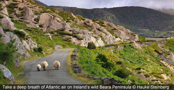 Blooms, Tango and Horseback Patrols