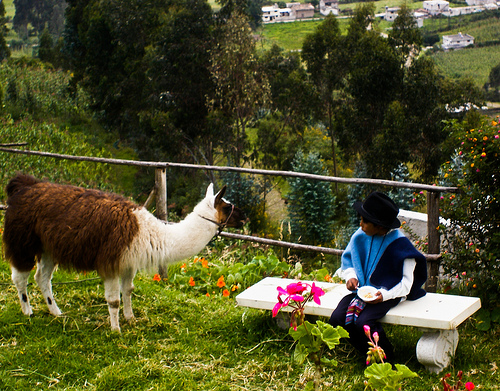 Opening a B&B Business in Ecuador