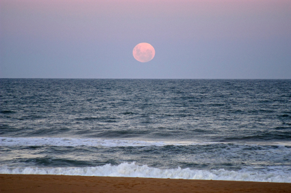 Where to Buy Land Near the Beach in Uruguay