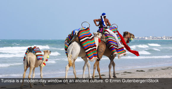 Exploring Tunisia’s Mediterranean