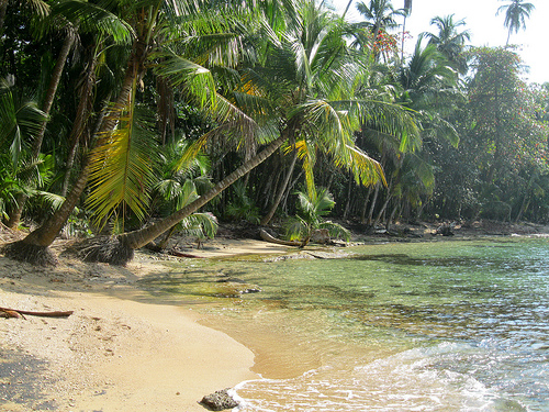 "We Drove 6,000 Miles to Find Paradise in Costa Rica..."