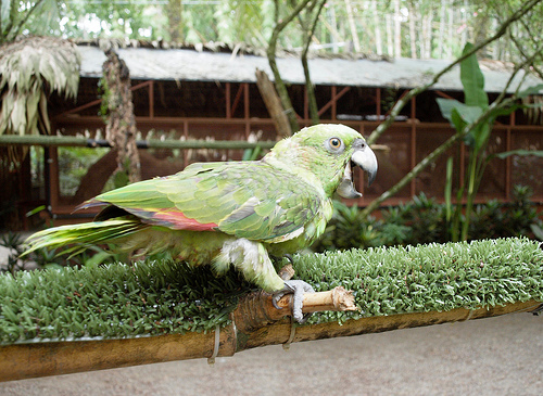 Volunteering in Costa Rica