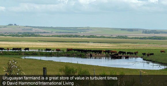 Own Farmland in Uruguay as an Offshore Hedge