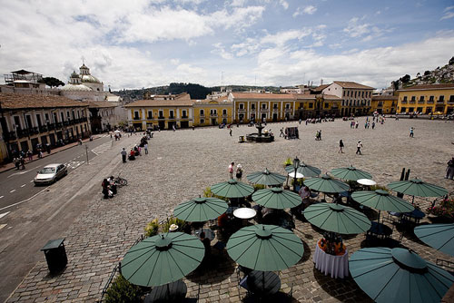 “How We Opened Our Ecuadorian Tea Shop”