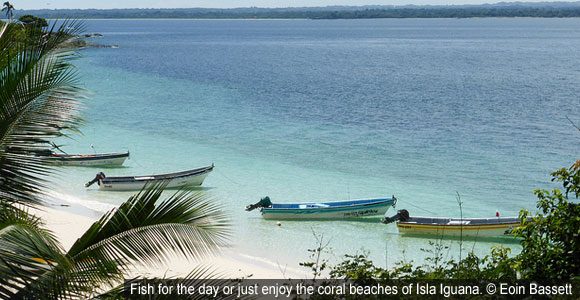 Fishing and Lazy Days in Pedasí, Panama