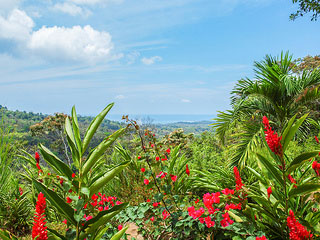 Grecia, Costa Rica