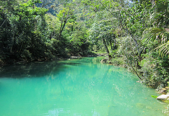 Our Labor of Love in the Belizean Jungle