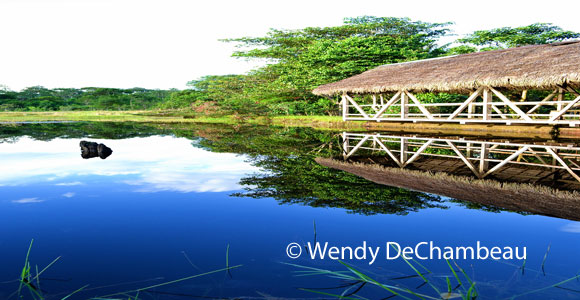 Jungle Life Without the Heat in Tena, Ecuador