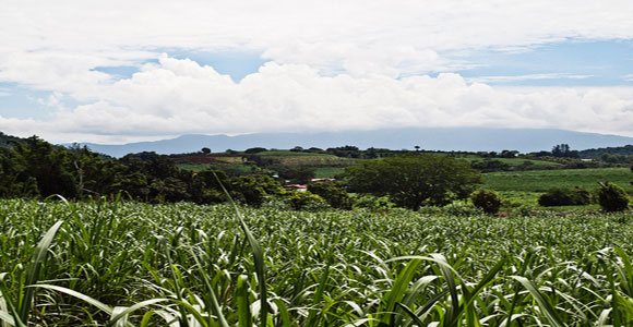 Costa Rica’s Top-Notch Health Care Offers Peace of Mind