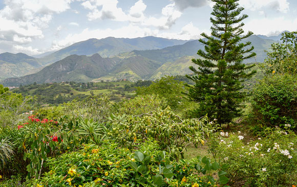 Ecuador