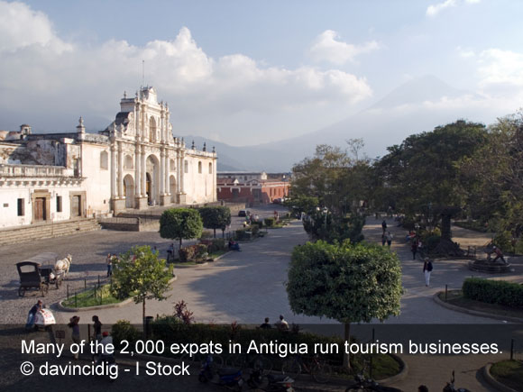 Growing Macadamia in Antigua, Guatemala