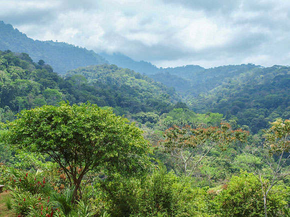 Discover Your Deserted Beach in Costa Rica