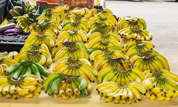 An Organic Farmers’ Market in San José, Costa Rica