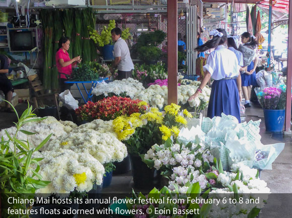 Festivals Around the World: Mexican Carnaval and Volcanic Jazz