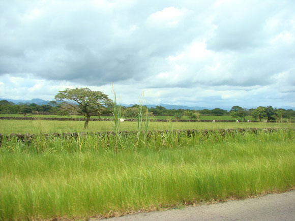 Dolega, Panama