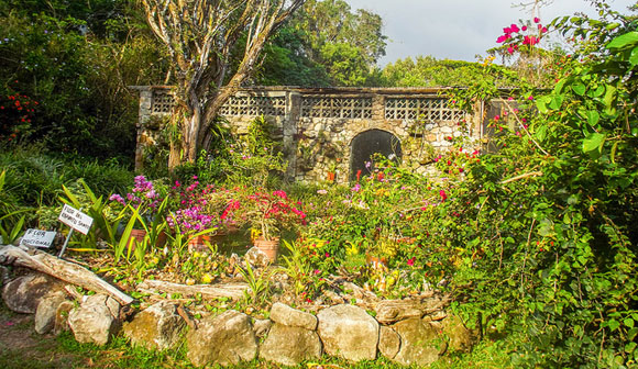 A Little Bit of Magic in El Valle, Panama