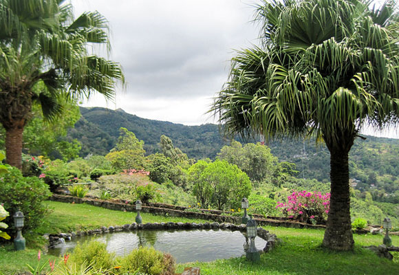 Why I Love My Friendly, Peaceful Panamanian Neighborhood