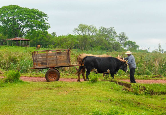 Paraguay – A Country of Tradition and Culture