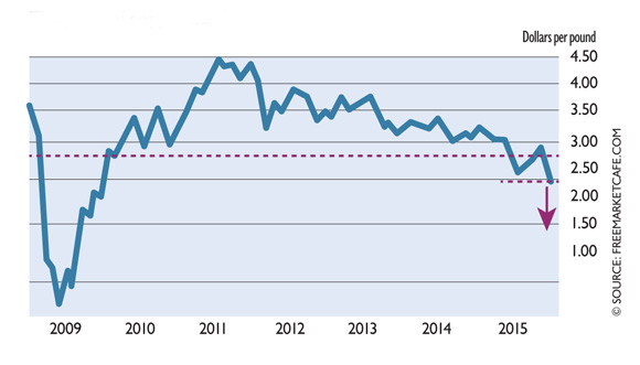 Tarnished Copper, Shanghai Stocks and more…