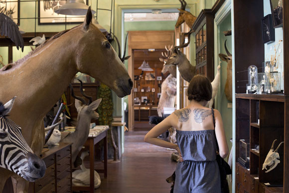 The Best Curiosity Shop in Paris