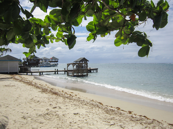 A Caribbean Winter in Roatán