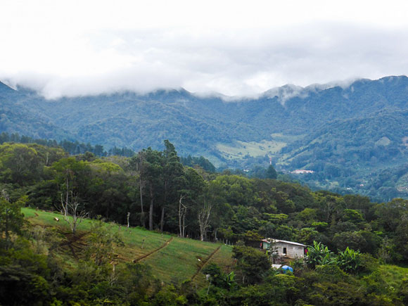 Chiriquí Needs a Handyman and Lawn-Care Service