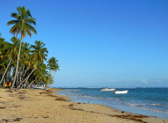 “I Have Found my Calling” on a Tropical Island