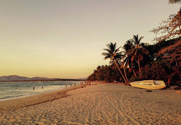 tamarindo