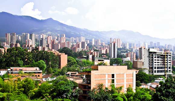 Low Prices and High Yields in Colombia’s “City of Flowers”