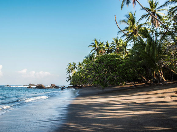 The Quest to Find the Perfect Beach View For My Hammock