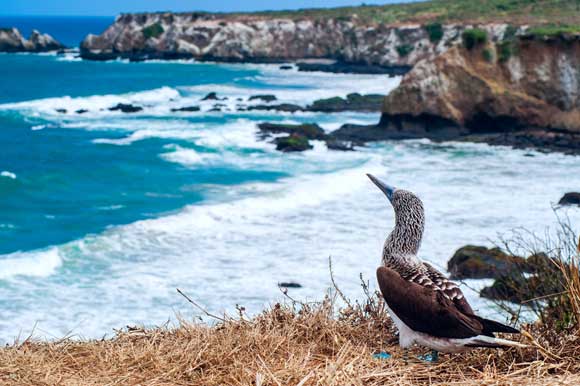 Galapagos Islands